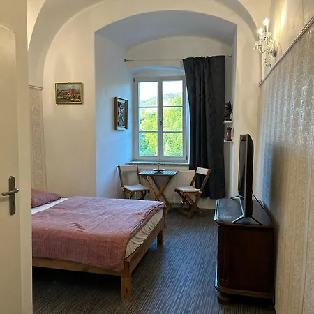 Rezidence Napoleon Apartament Loket