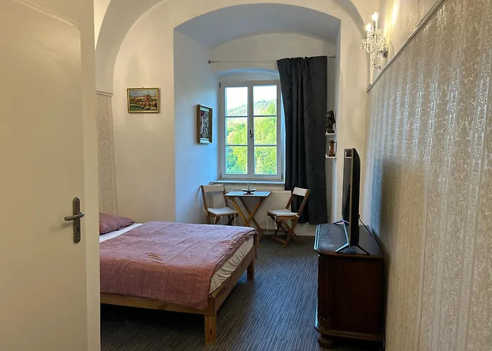 Rezidence Napoleon Apartment Loket